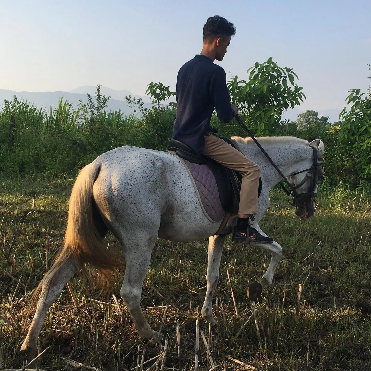 Kovid Panthy riding a grey horse through open ground at dusk, hills behind.